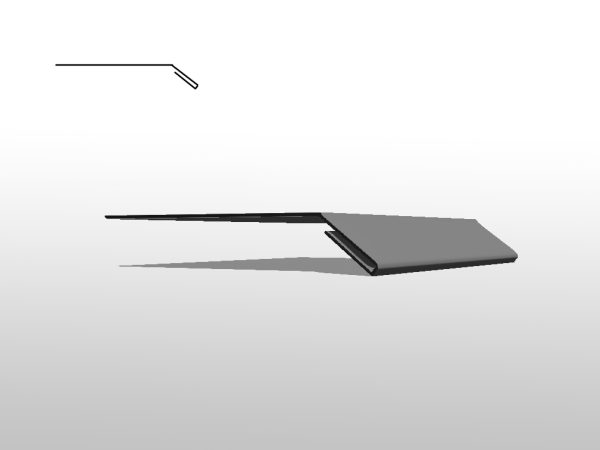 L1